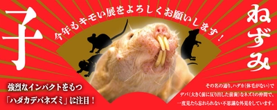 ねずみ年を記念して、ハダカデバネズミを特別展示！ 広島パルコにて『キモい展』好評開催中！