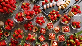 春から予約サイトリニューアル！心満たされる、春のご褒美旅　ー　京都府京丹後市夕日ヶ浦温泉「時季を彩る　佳松苑」