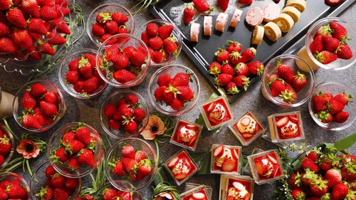 春から予約サイトリニューアル！心満たされる、春のご褒美旅　ー　京都府京丹後市夕日ヶ浦温泉「時季を彩る　佳松苑」