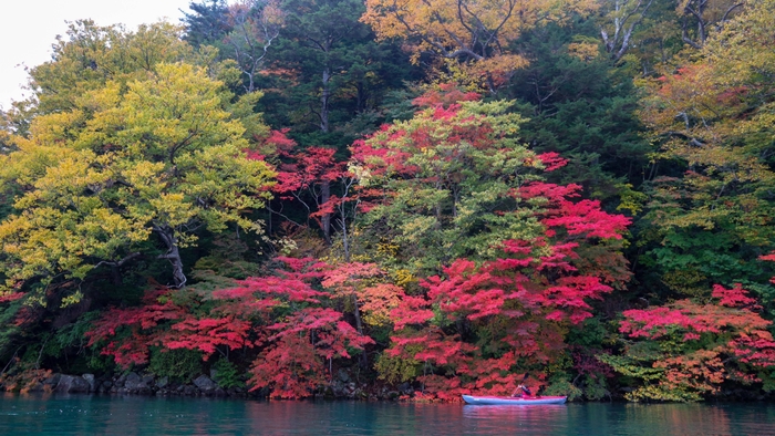 カヌーで日光国立公園中禅寺湖水上から見る紅葉2