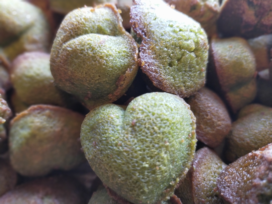 おすすめの抹茶フィナンシェ