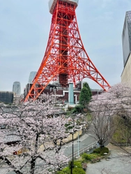 東京タワー、富士山に鴨川の桜。Atmoph Window 2から少し贅沢な室内花見を楽しもう