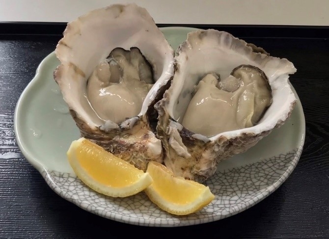 Mサイズ 900円(税込み)からご提供しております。※時期によりサイズのお取り扱いが異なります。