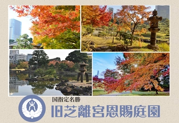 旧芝離宮庭園で伝統文化に触れる。「小さい秋みぃつけた！」10月29日（土）～11月６日（日）開催