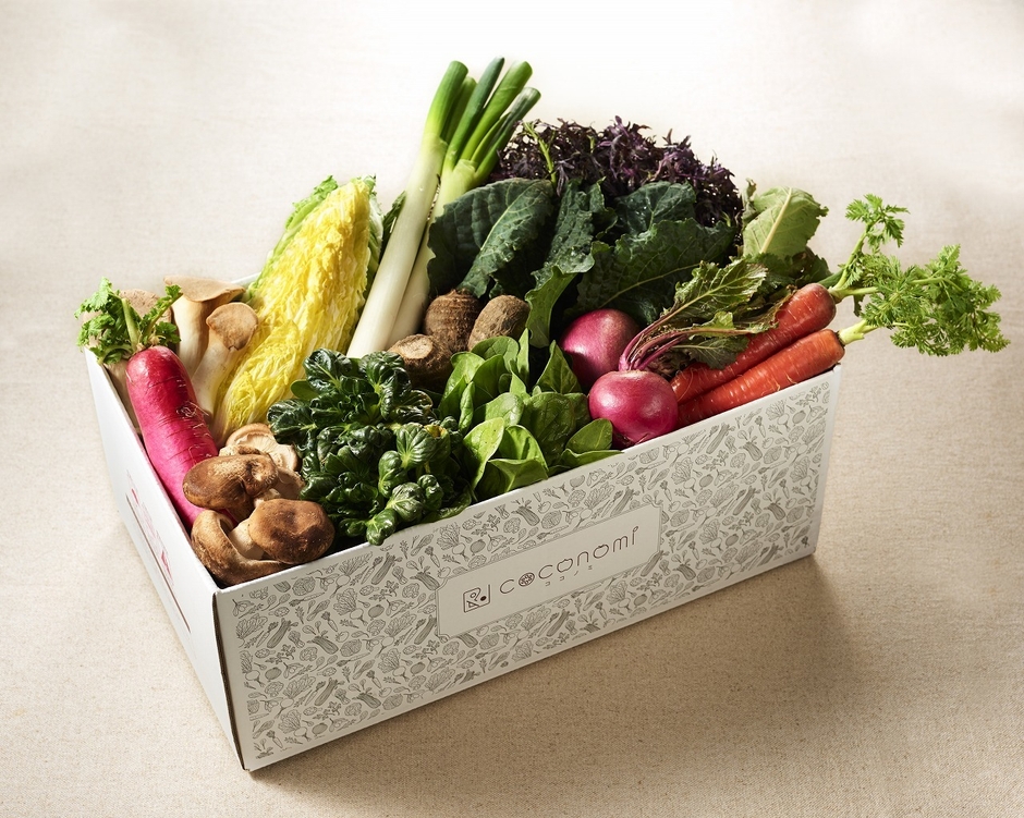 ココノミ イメージ