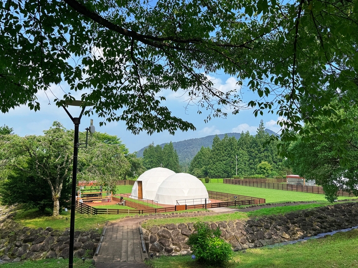 ペット同伴OKの専用プラン