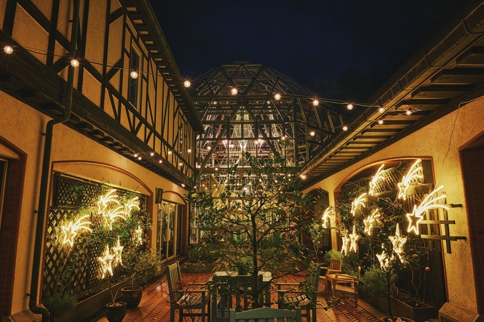 中庭のクリスマス