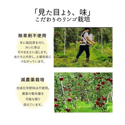 戸田農園5
