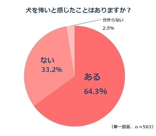 データ5