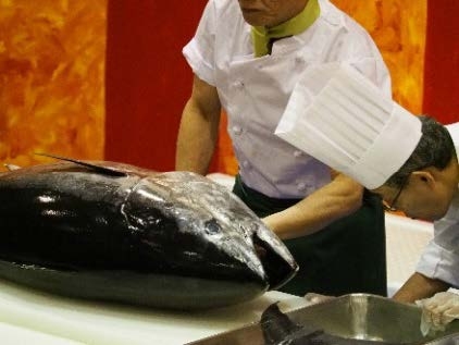 近大マグロ解体ショー(昨年)
