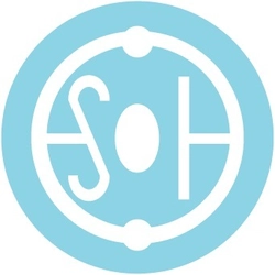 株式会社ESOH group