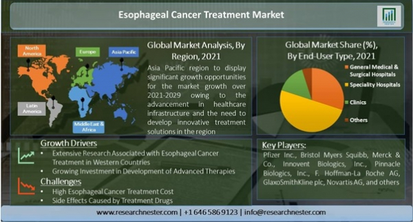 Market reports detail all of the following points and provide market trends based on analysis.