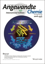 フロントカバーデザイン『アンゲヴァンテ・ケミー』