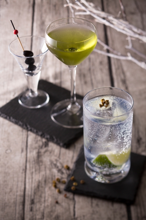 バー レスタカード 丹波マティ―二 / ジントニック ~摂津スタイル~