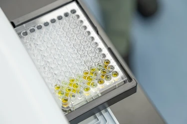 台湾Leadgene、慢性腎臓病向け「インドキシル硫酸」検査キットの日米市場参入を推進　EU・台湾など5市場で承認取得