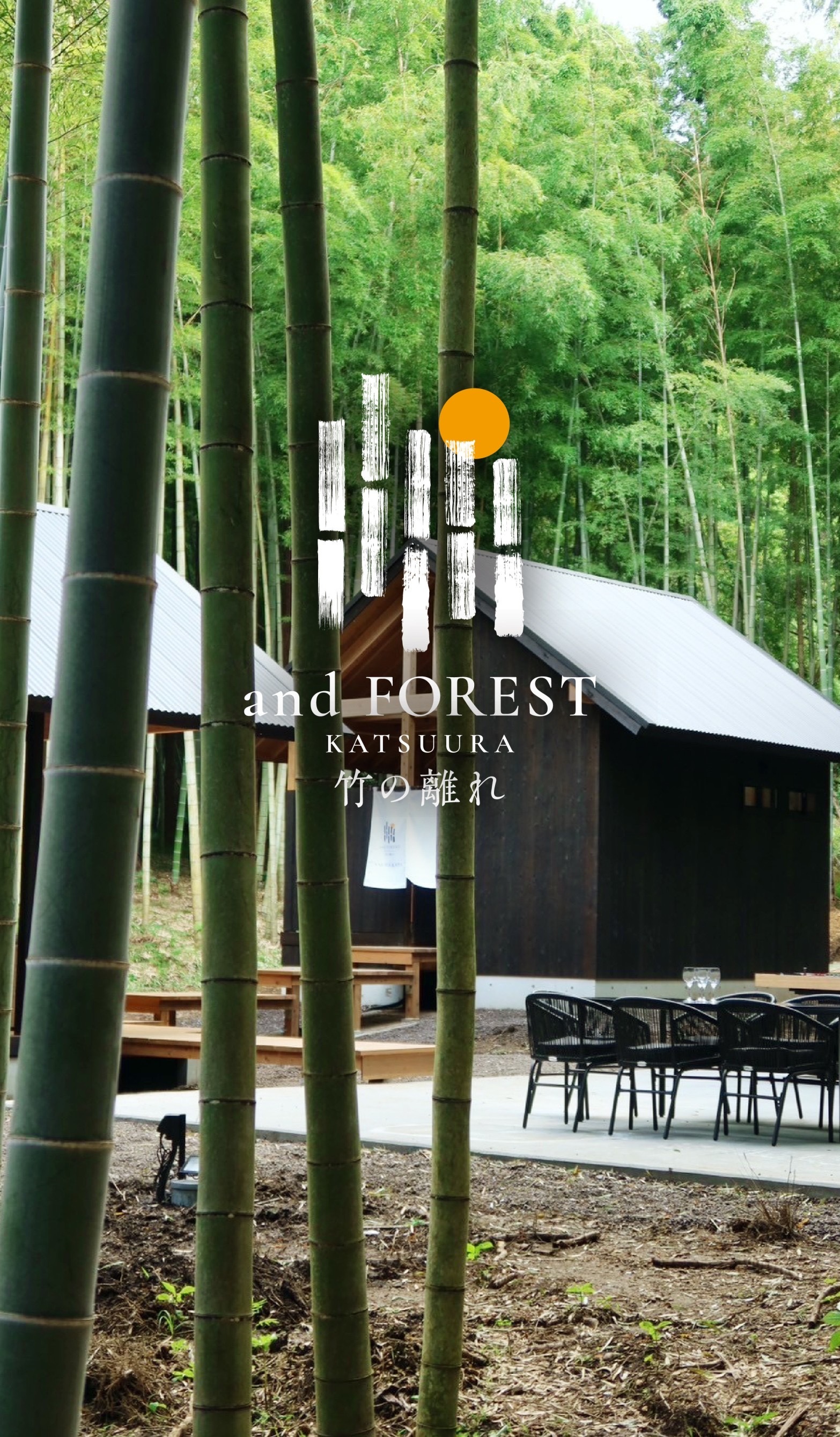 千葉県勝浦市に新たな隠れ家リゾートが誕生！竹林の絶景とサウナが