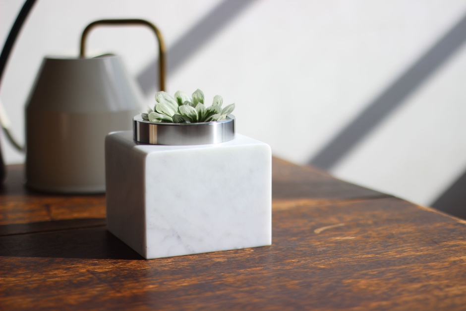 多肉植物を植えた写真