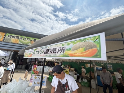 メロン直売！