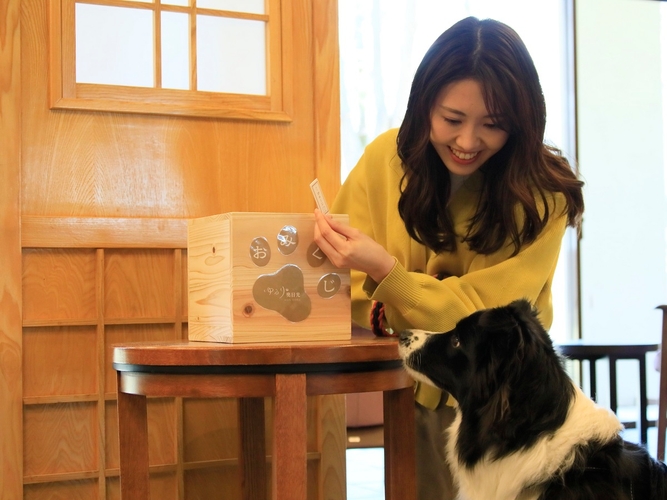 おみくじ