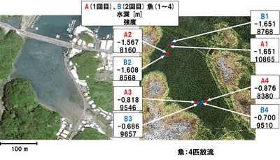 魚を用いたレーザー探索システムの基礎実験