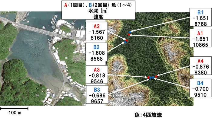 魚を用いたレーザー探索システムの基礎実験