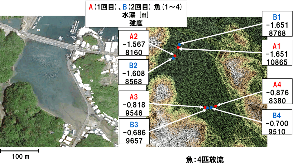 魚を用いたレーザー探索システムの基礎実験