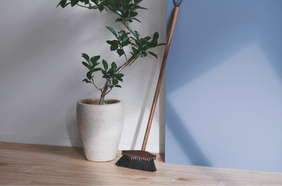 IMPERIAL BROOM