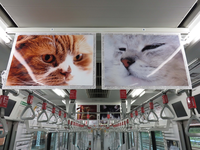 11スマフォトレイン展示内観