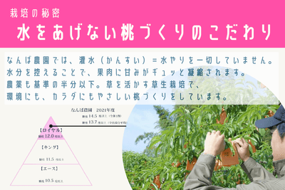 栽培のこだわり