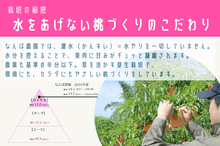 栽培のこだわり