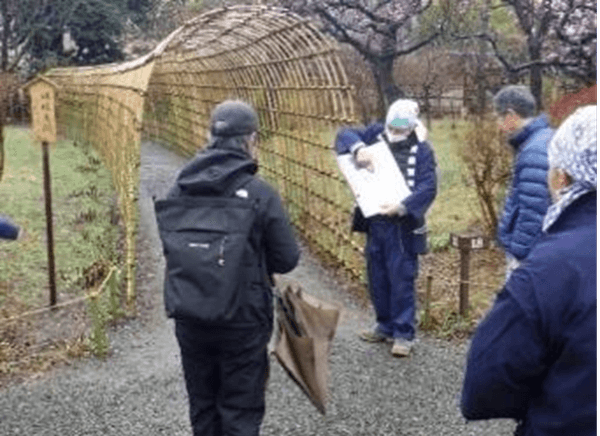 庭さんぽ(昨年度の様子)