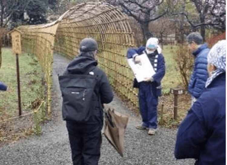 庭さんぽ(昨年度の様子)