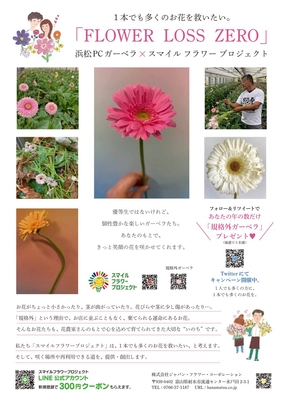 プレゼントキャンペーン