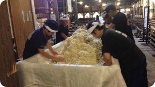 醸造発酵粕から抽出