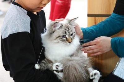 猫カフェ