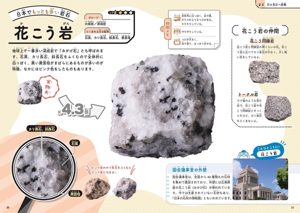 2章 石の見比べ図鑑　火成岩