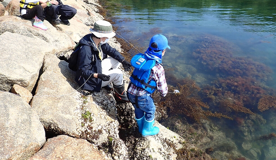 海洋生物や生態系について学習