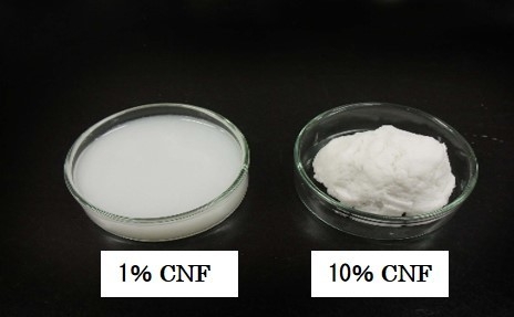 セルロースナノファイバー 水分散液