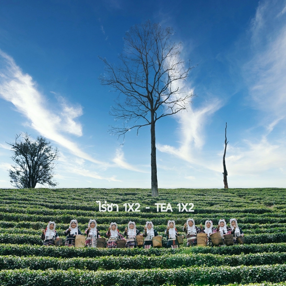 Tea factory 1x2