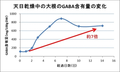 画像2:天日乾燥中の大根のGABA