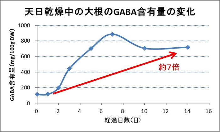 画像2:天日乾燥中の大根のGABA
