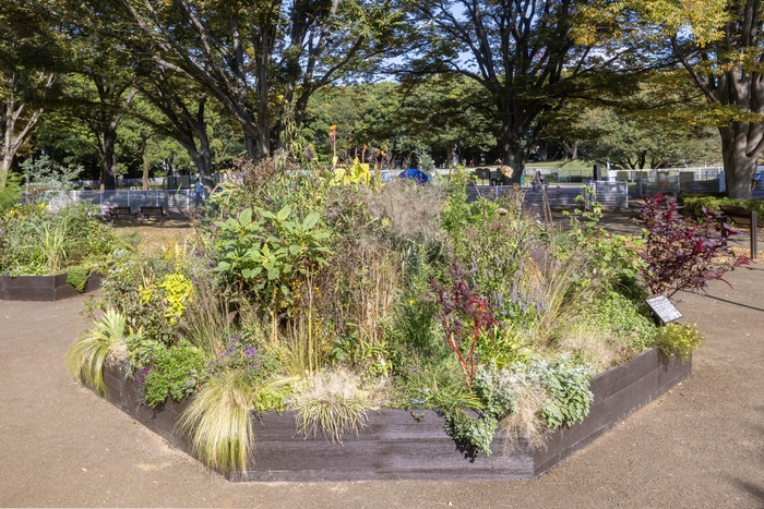 Eガーデンの様子(11月)