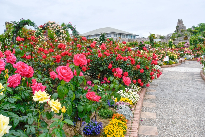 (2025年5月9日撮影)