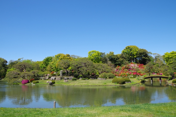 以前の見頃の様子