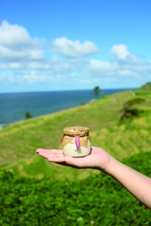 超希少！幻の米「白米千枚田」のお米を使用した、 もっちり、なめらか食感のプリンが新登場！ 輪島プリン専門店『la reves』にて9月30日より販売開始！