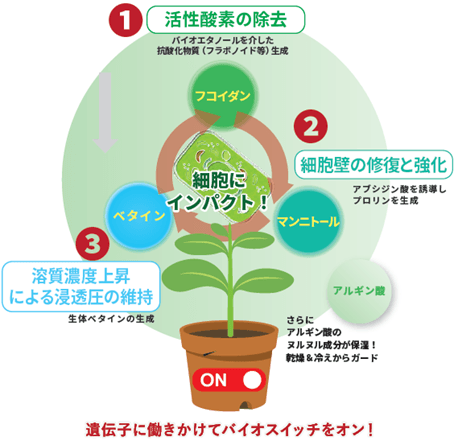 バイオスイッチをオンにする仕組み