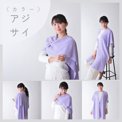 カラー：アジサイ