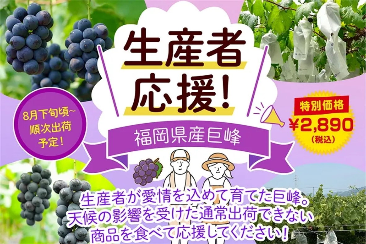 ＪＡタウン「博多うまかショップ」で規格外の「福岡県産巨峰」を特別価格で販売！