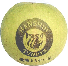 六甲おろしを聴かせて育てた“猛虎魂”あふれる梨 「阪神タイガース優勝まちがい梨」出荷開始！