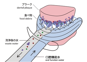 介護現場の「口腔ケア」問題を解消へ！ マウスピース型ウォータージェット「COMORAL（コモラル）」の老人ホーム向け販売強化および医療機器登録完了のお知らせ